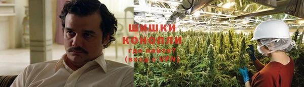 COCAINE Белокуриха