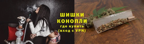 молекула духа Белоозёрский