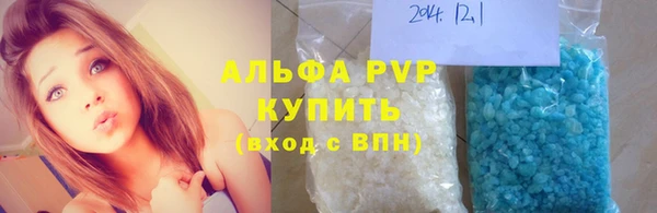 молекула духа Белоозёрский