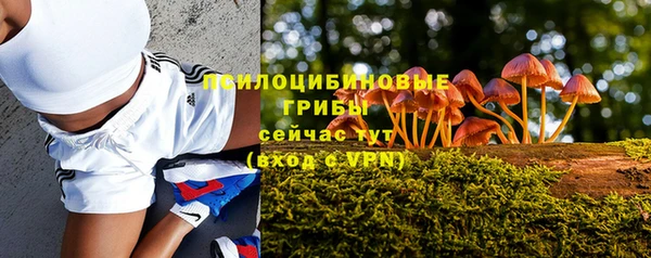 молекула духа Белоозёрский