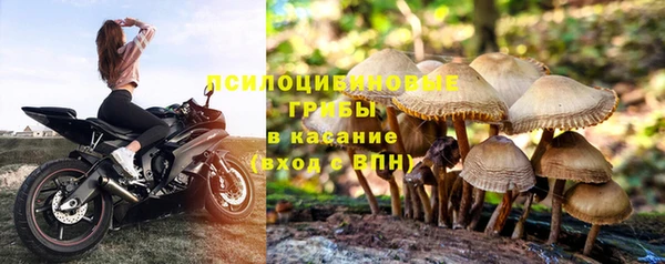 молекула духа Белоозёрский