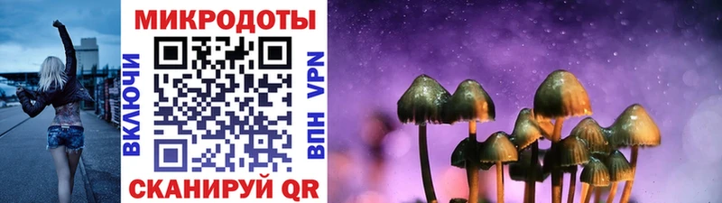 наркотики  Новая Усмань  Псилоцибиновые грибы мухоморы 